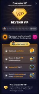 Wildzy Casino VIP programme