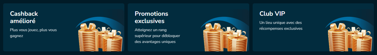Volerbet Casino VIP programme